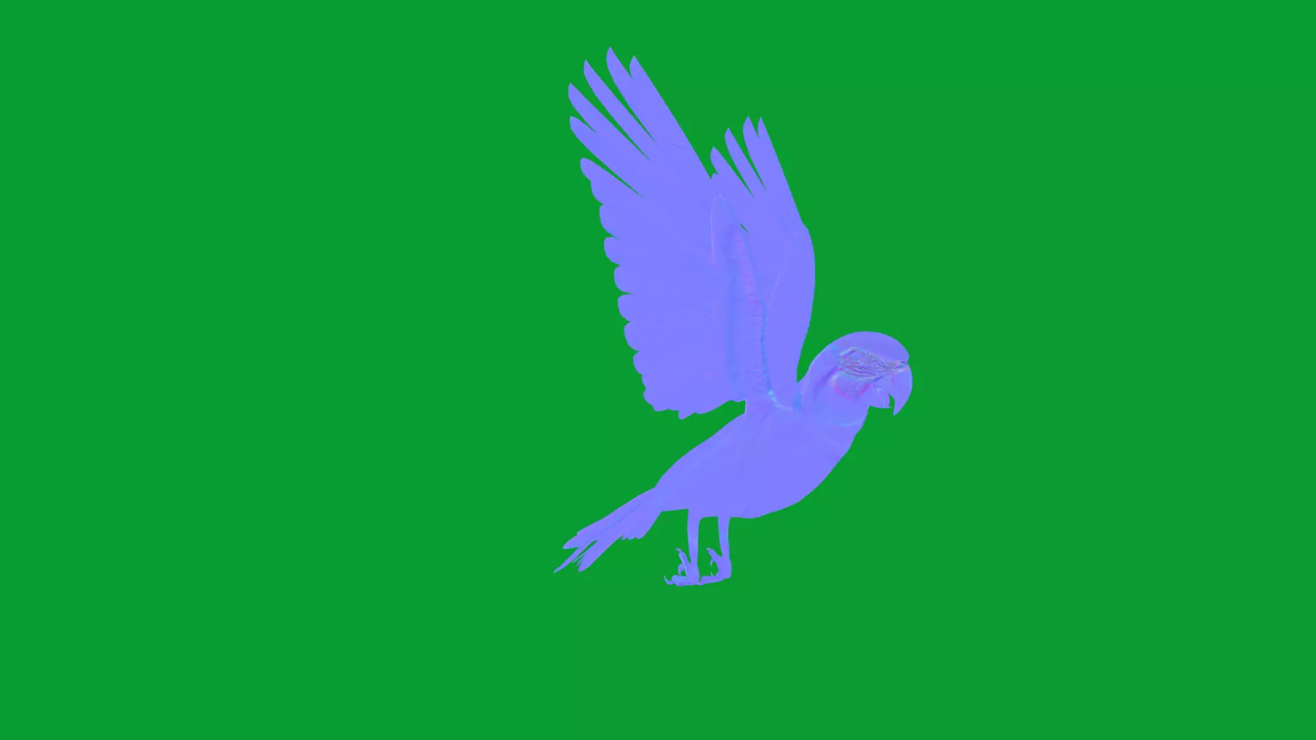 Macaw Ara Parrot Bird Low-poly 3D model_7