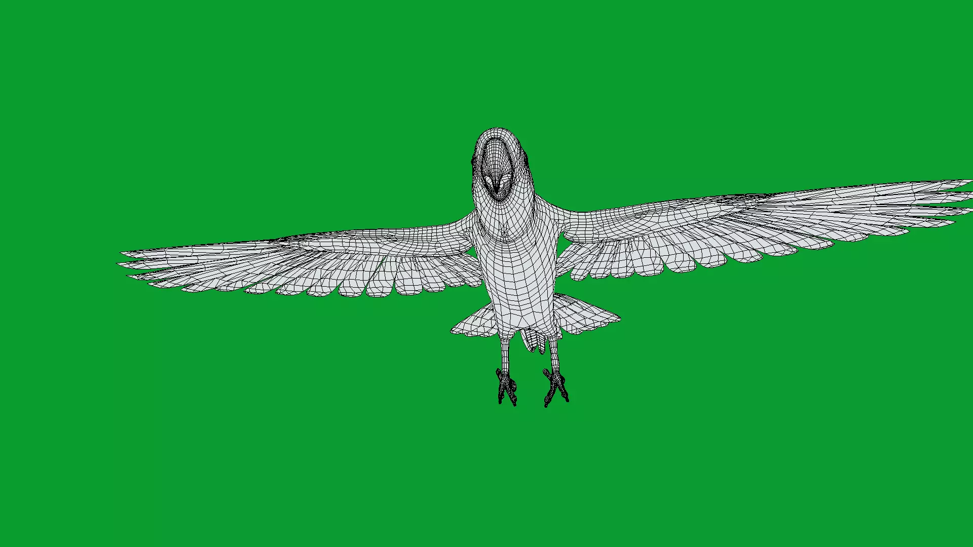 Macaw Ara Parrot Bird Low-poly 3D model_20