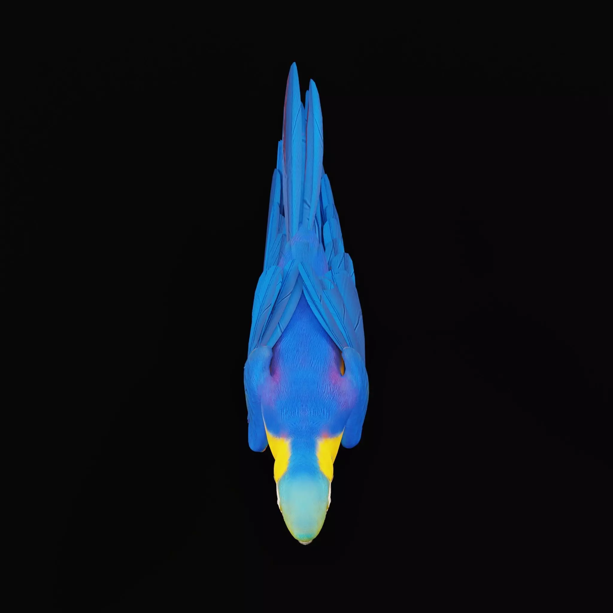 Macaw Ara Parrot Bird Low-poly 3D model_39