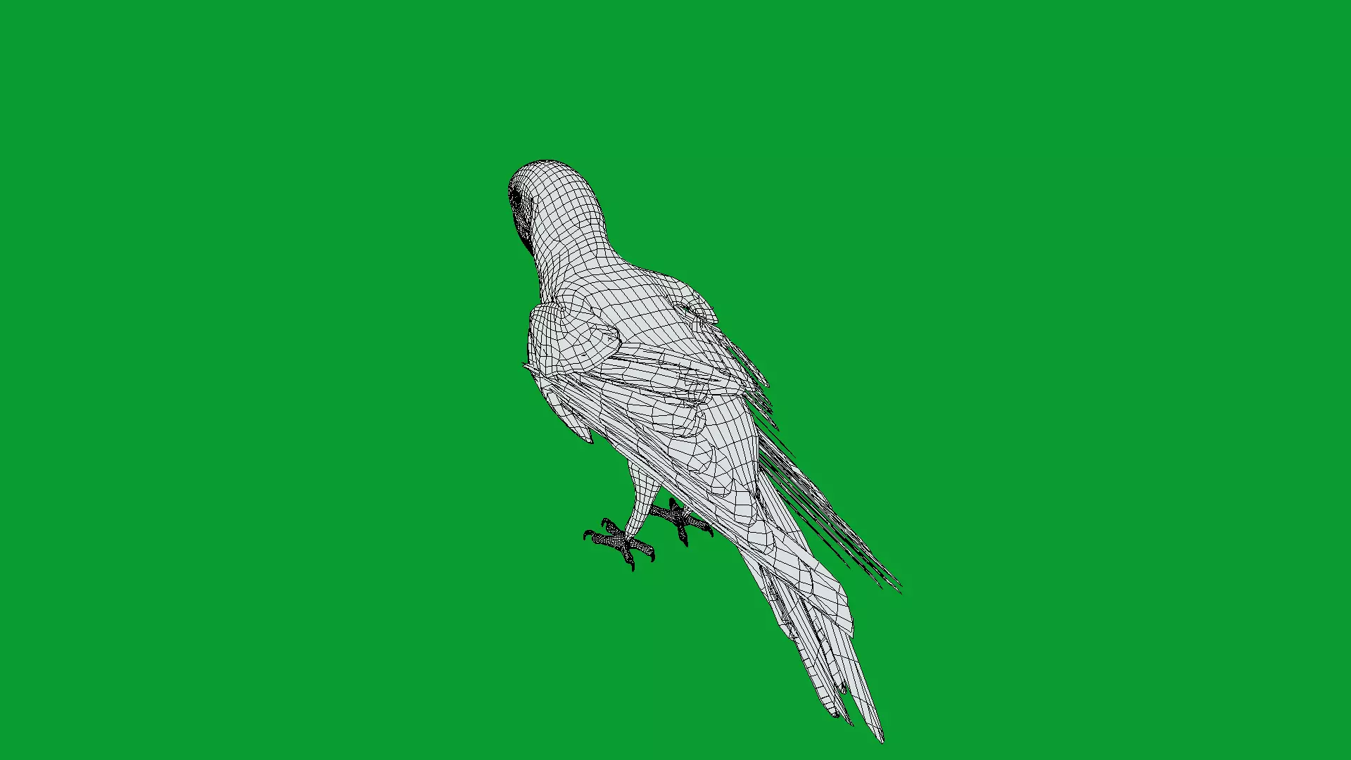 Macaw Ara Parrot Bird Low-poly 3D model_13