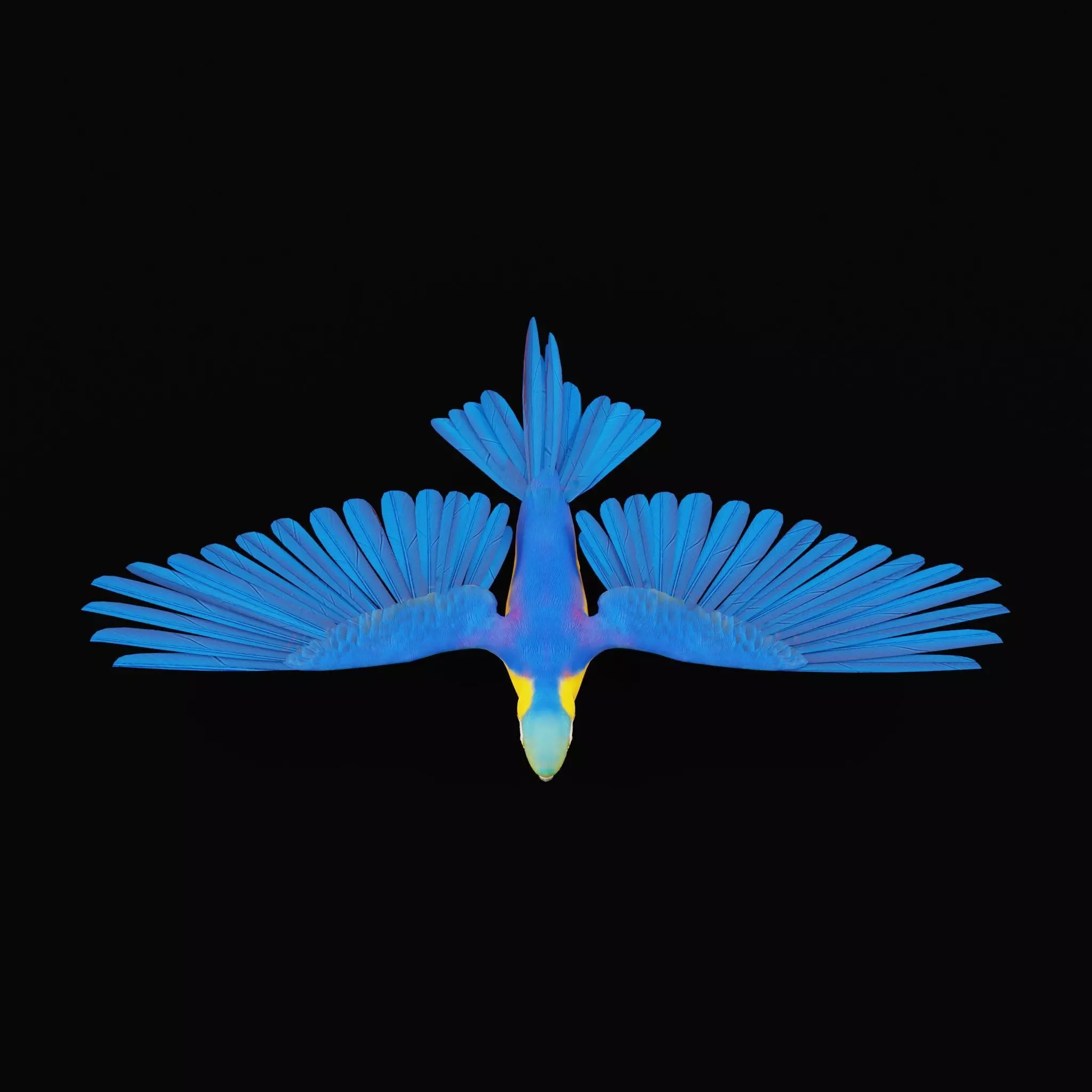 Macaw Ara Parrot Bird Low-poly 3D model_42