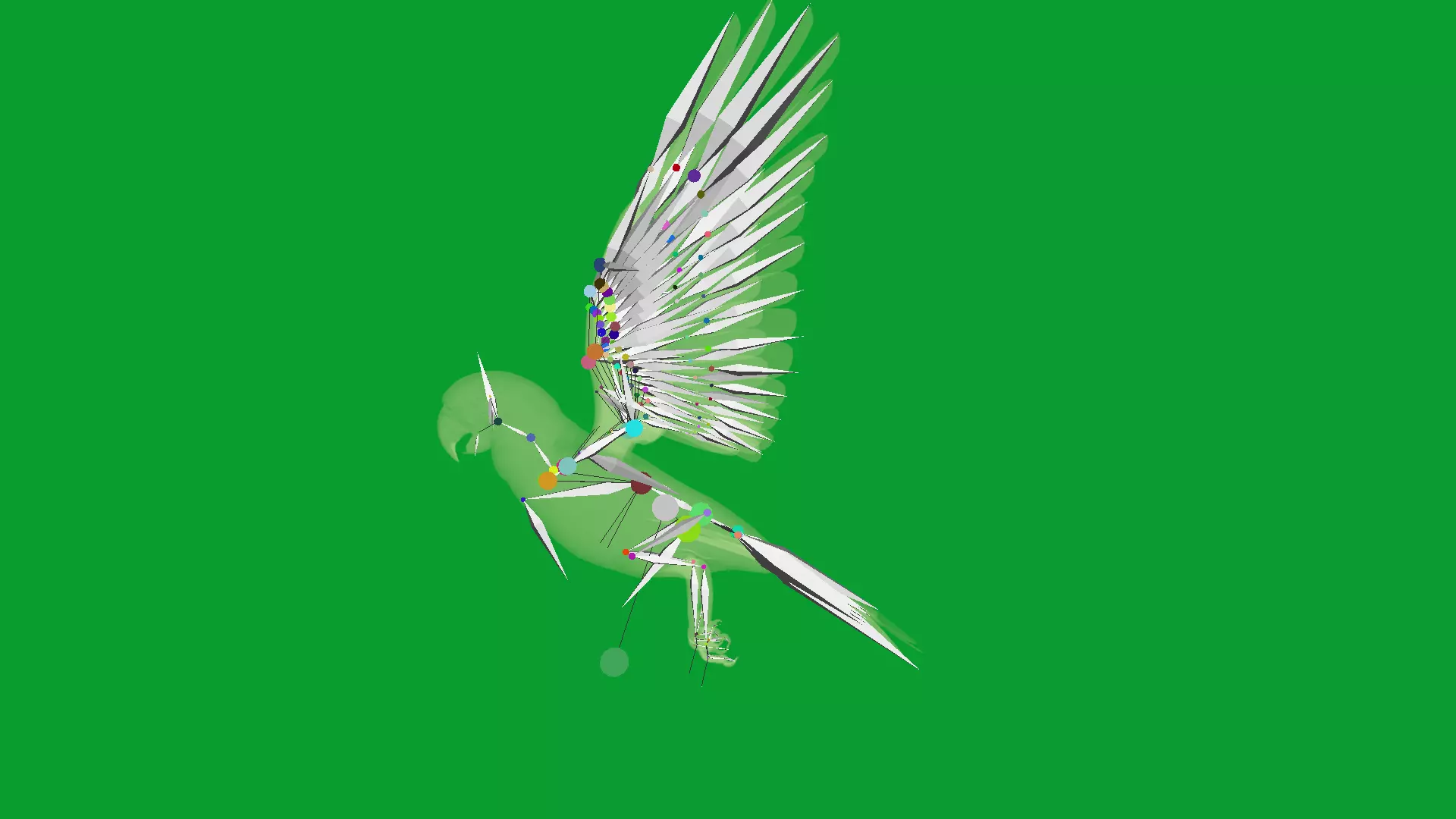 Macaw Ara Parrot Bird Low-poly 3D model_27