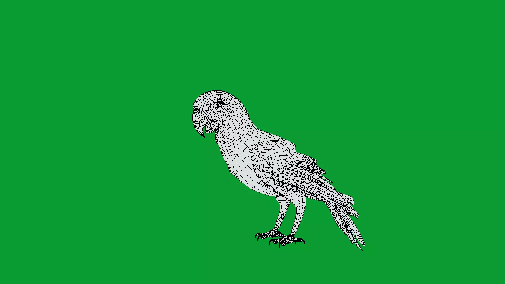 Macaw Ara Parrot Bird Low-poly 3D model_12