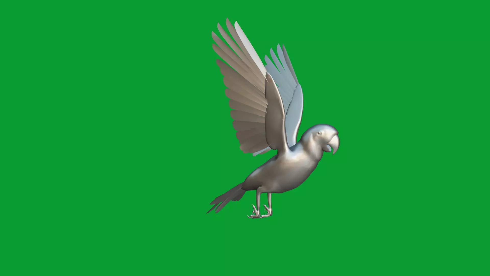 Macaw Ara Parrot Bird Low-poly 3D model_10