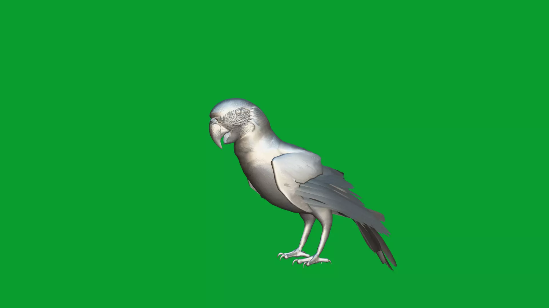 Macaw Ara Parrot Bird Low-poly 3D model_11