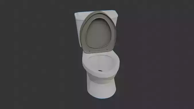 Modern bathroom toilet ceramic model
