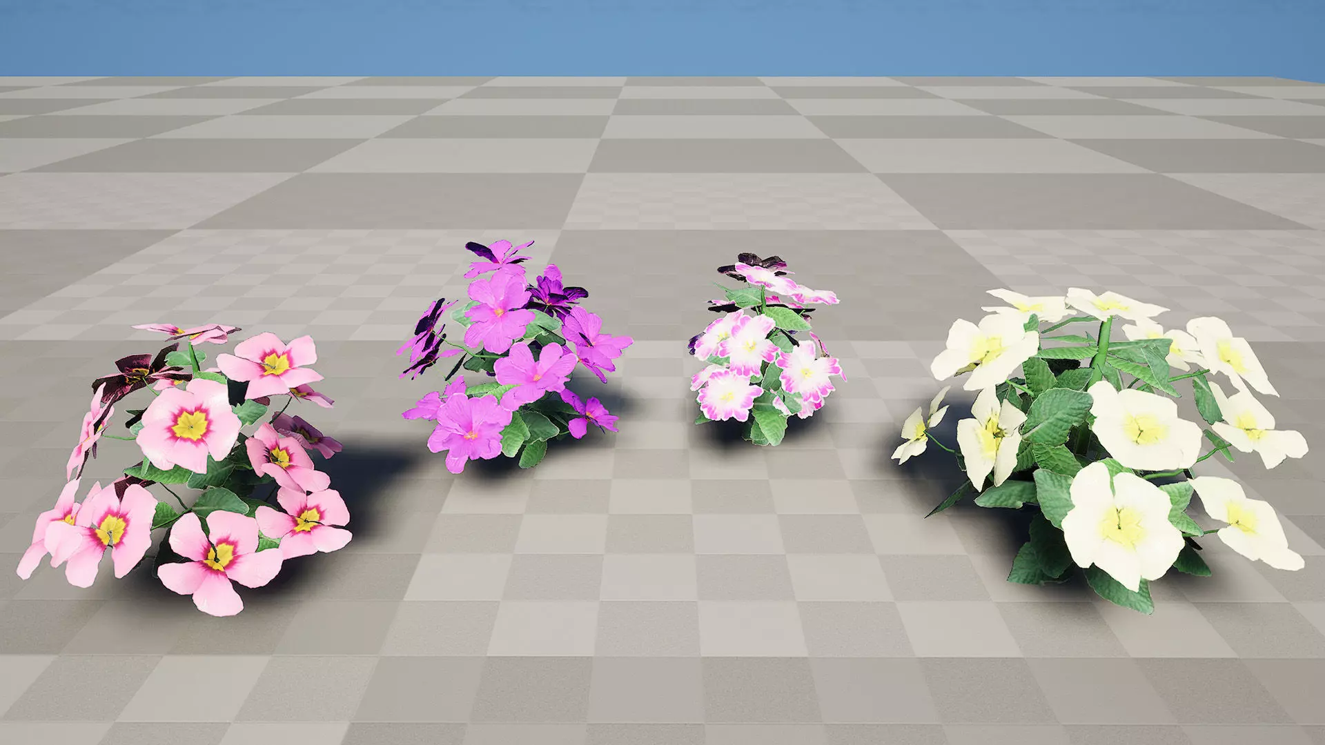 Primula vulgaris 3D Model Collection Low-poly 3D model_10