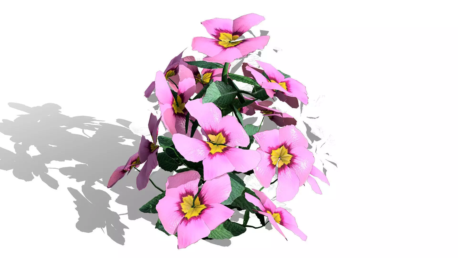 Primula vulgaris 3D Model Collection Low-poly 3D model_4