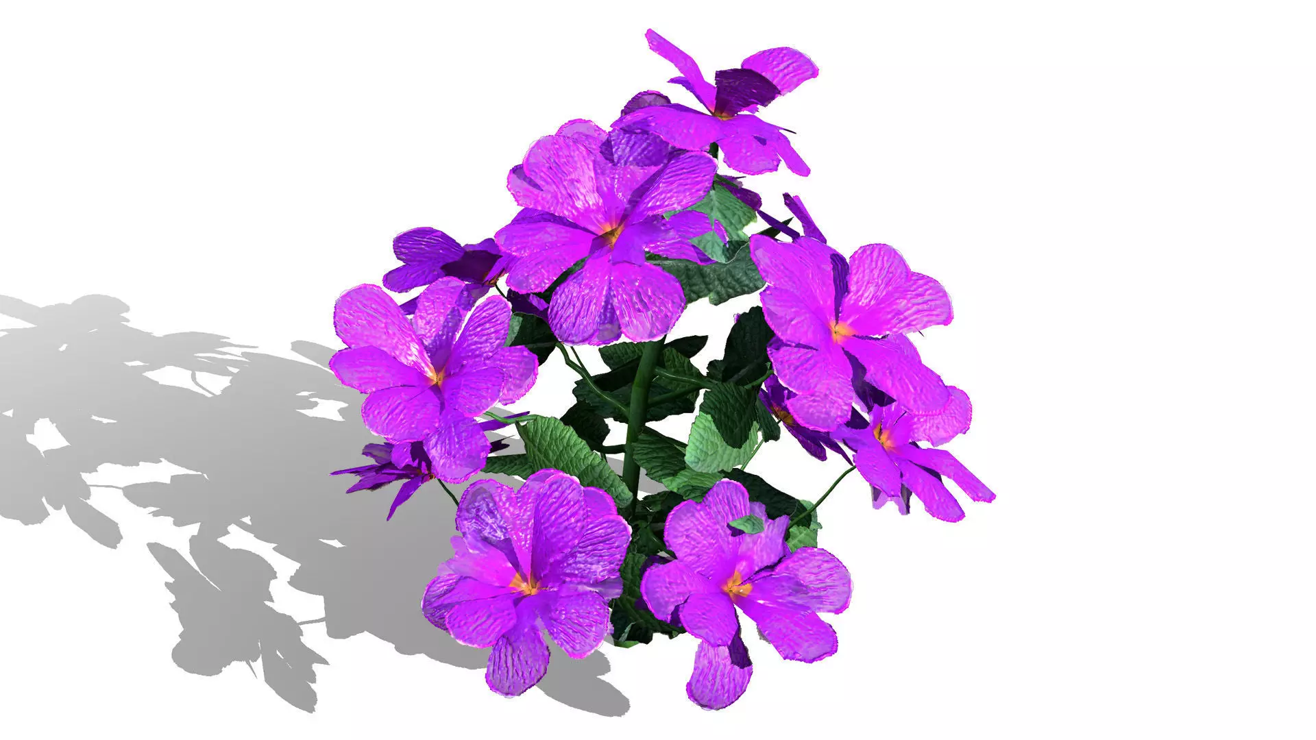 Primula vulgaris 3D Model Collection Low-poly 3D model_9