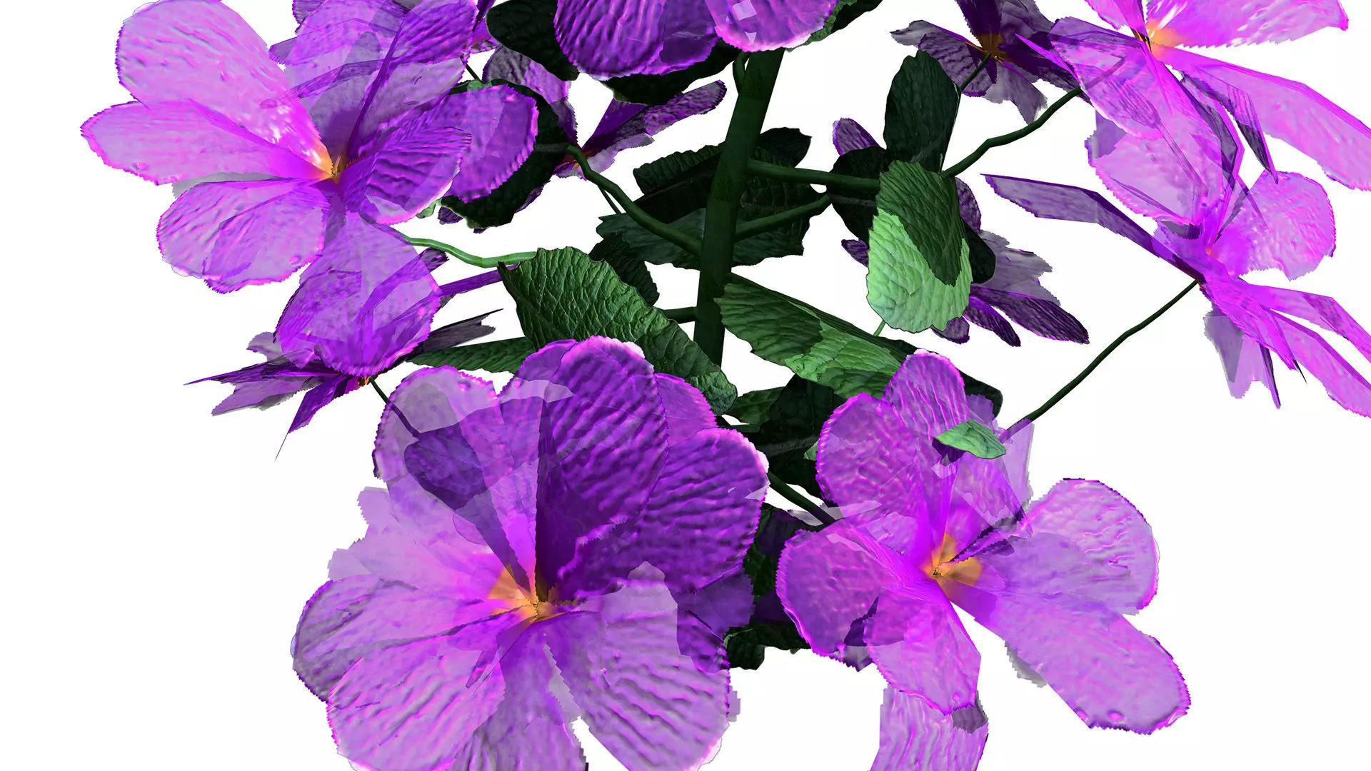 Primula vulgaris 3D Model Collection Low-poly 3D model_11