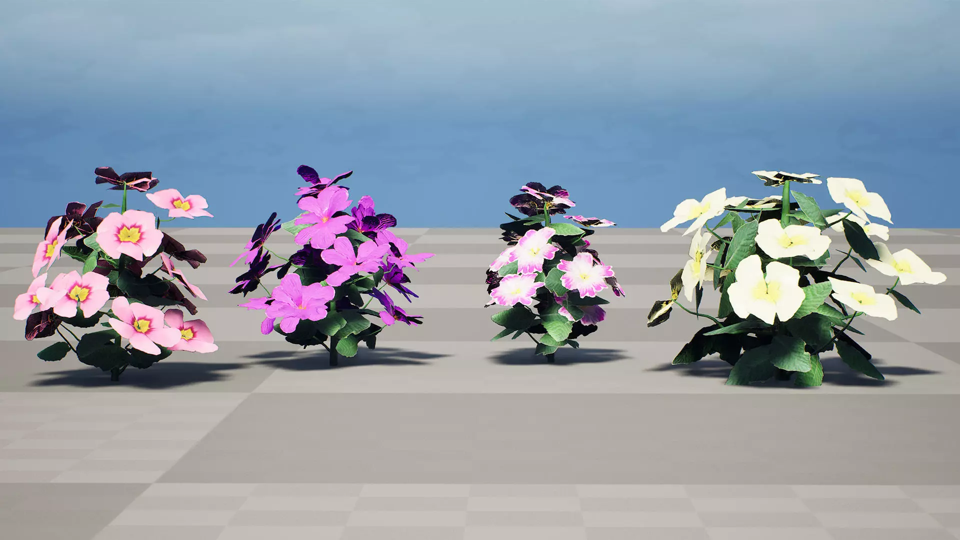 Primula vulgaris 3D Model Collection Low-poly 3D model_12