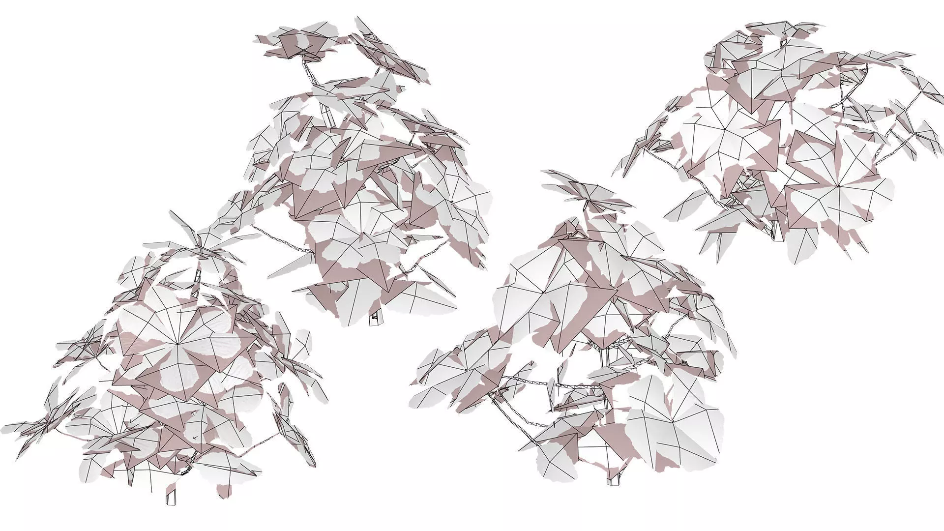 Primula vulgaris 3D Model Collection Low-poly 3D model_8