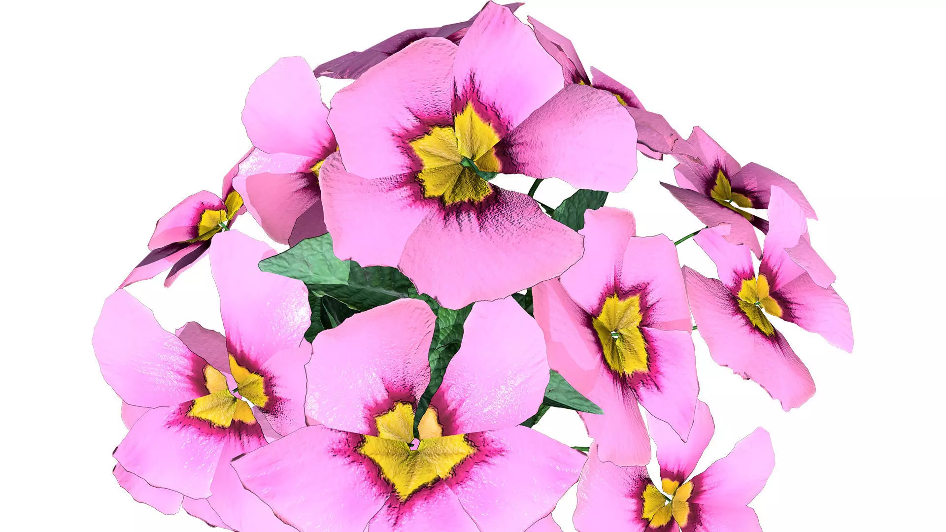 Primula vulgaris 3D Model Collection Low-poly 3D model_3