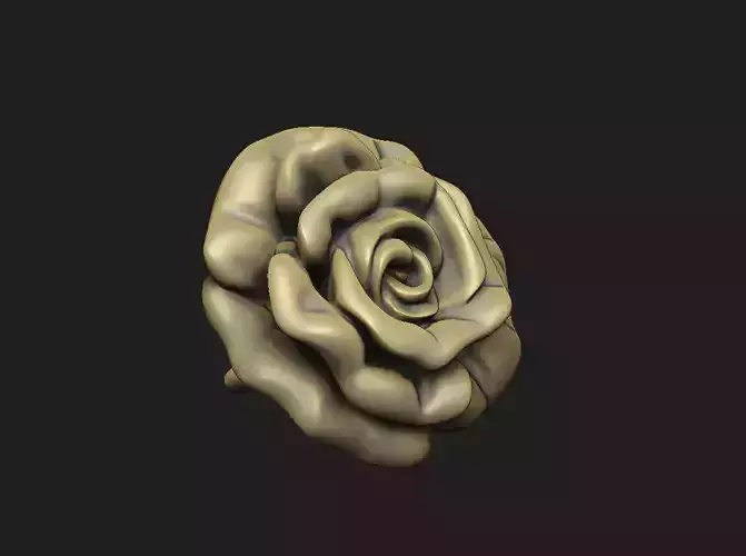 Rose thorn cluster single woman beauty embossed petal