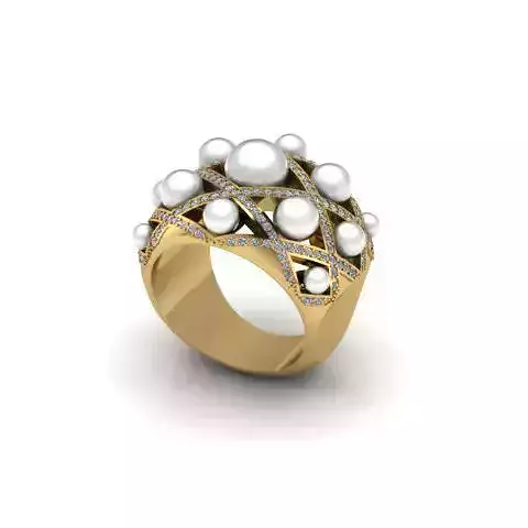 Ring AR1400019