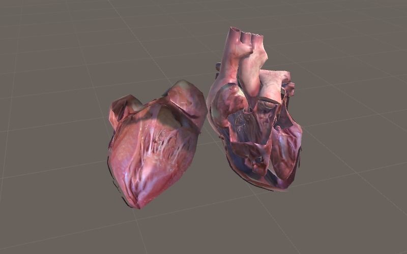 Animated Heart AR VR Unity 3dsmax Low-poly 3D model_15