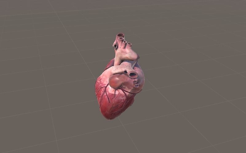 Animated Heart AR VR Unity 3dsmax Low-poly 3D model_12