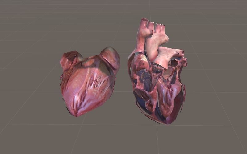Animated Heart AR VR Unity 3dsmax Low-poly 3D model_16