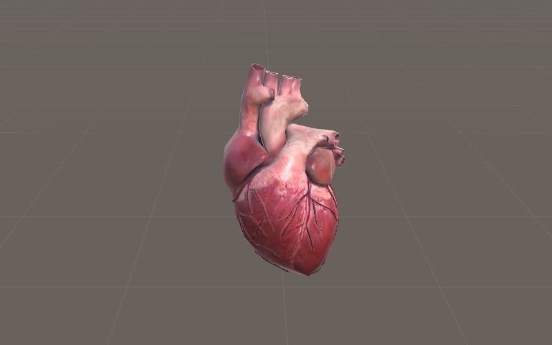 Animated Heart AR VR Unity 3dsmax Low-poly 3D model_8