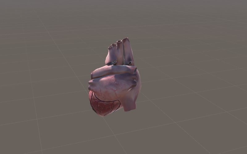 Animated Heart AR VR Unity 3dsmax Low-poly 3D model_10