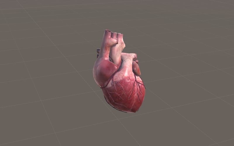 Animated Heart AR VR Unity 3dsmax Low-poly 3D model_9