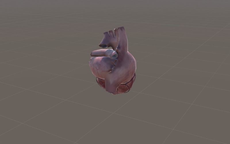 Animated Heart AR VR Unity 3dsmax Low-poly 3D model_11