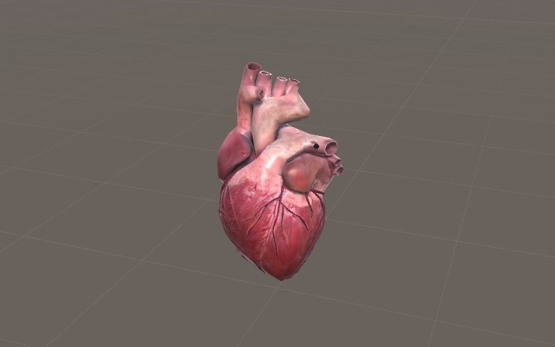 Animated Heart AR VR Unity 3dsmax Low-poly 3D model_7