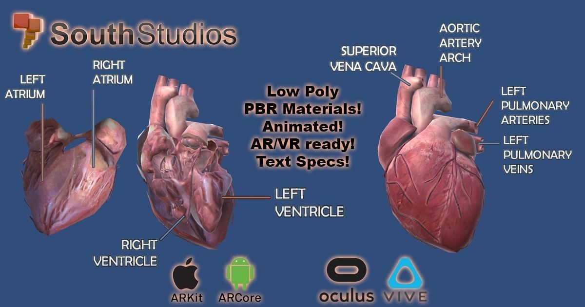 Animated Heart AR VR Unity 3dsmax Low-poly 3D model_2