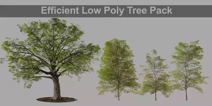 tree oak english sapling