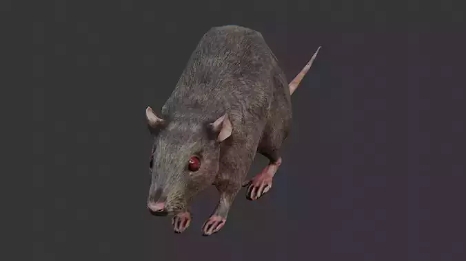 Zombie Rat Creature Asset
