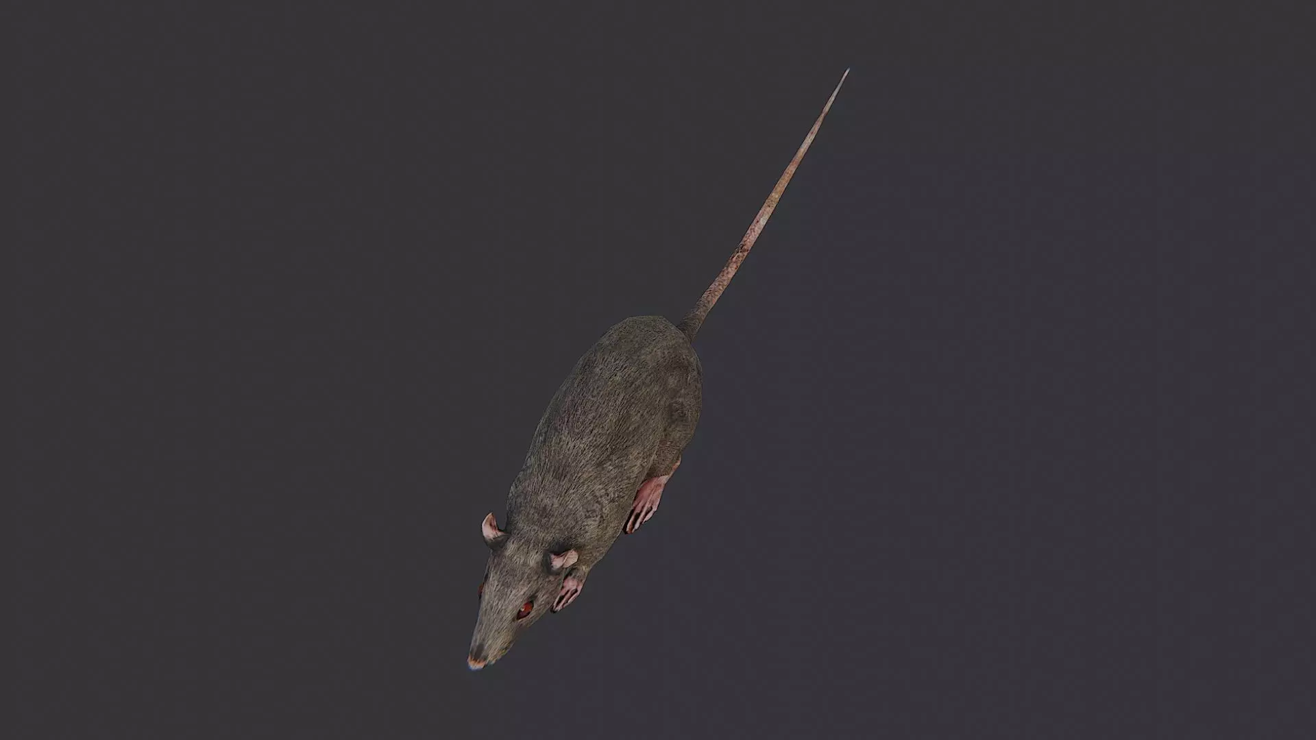 Zombie Rat Creature Asset Low-poly 3D model_4