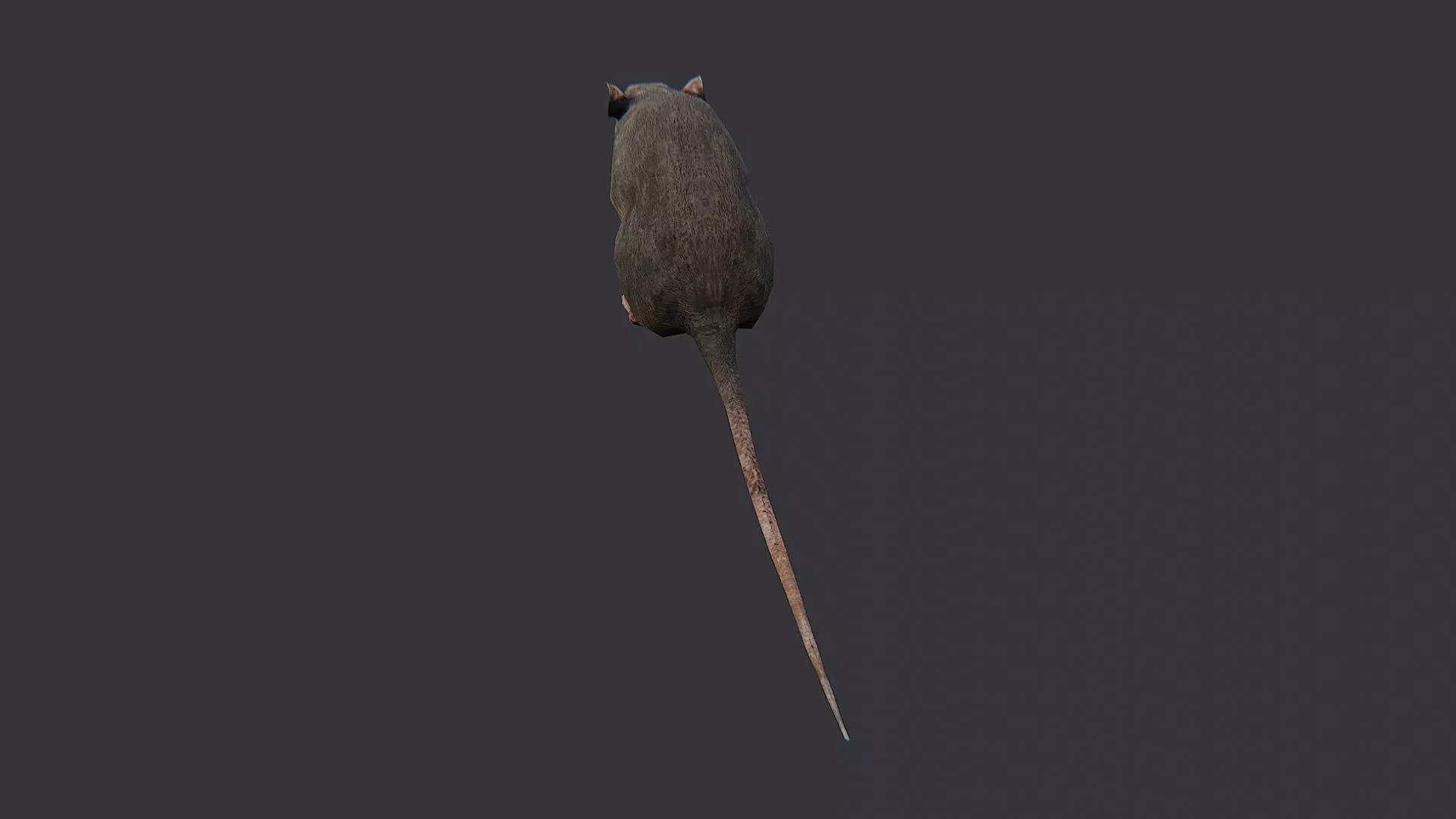 Zombie Rat Creature Asset Low-poly 3D model_3