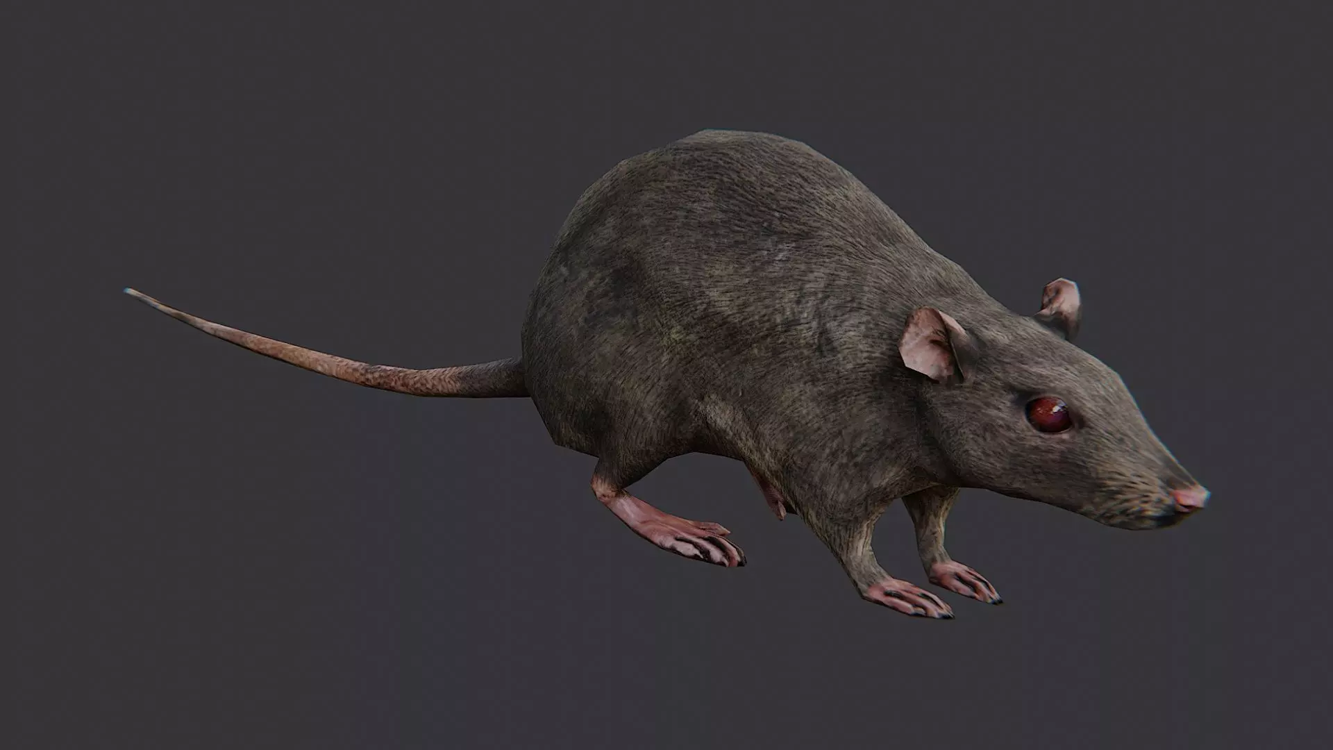 Zombie Rat Creature Asset Low-poly 3D model_1