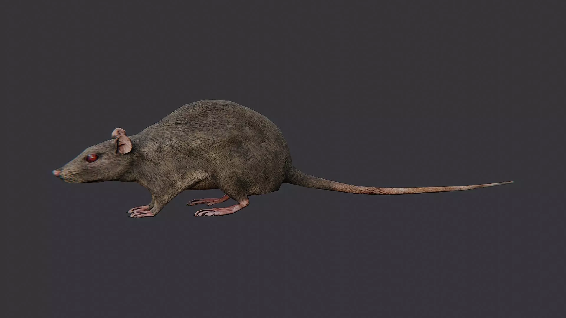 Zombie Rat Creature Asset Low-poly 3D model_2