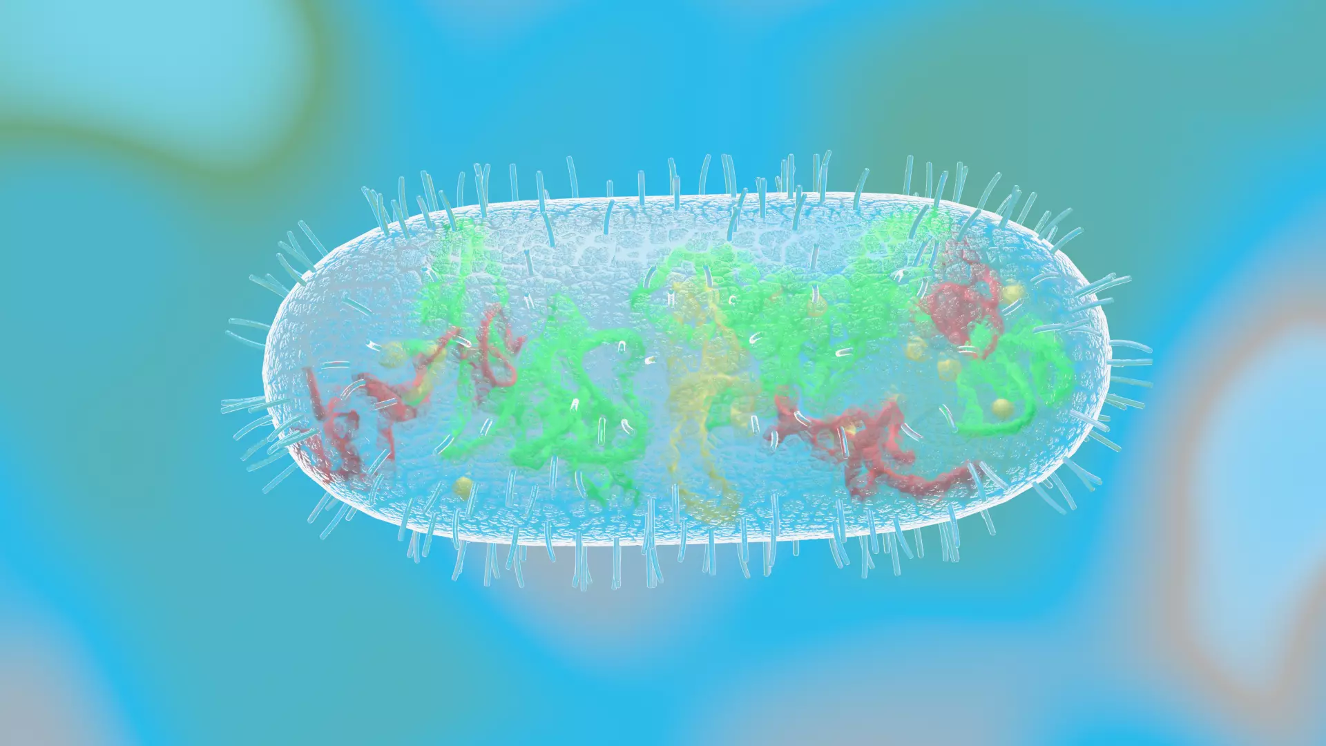 Animated microbes 6-10 Low-poly 3D model_6