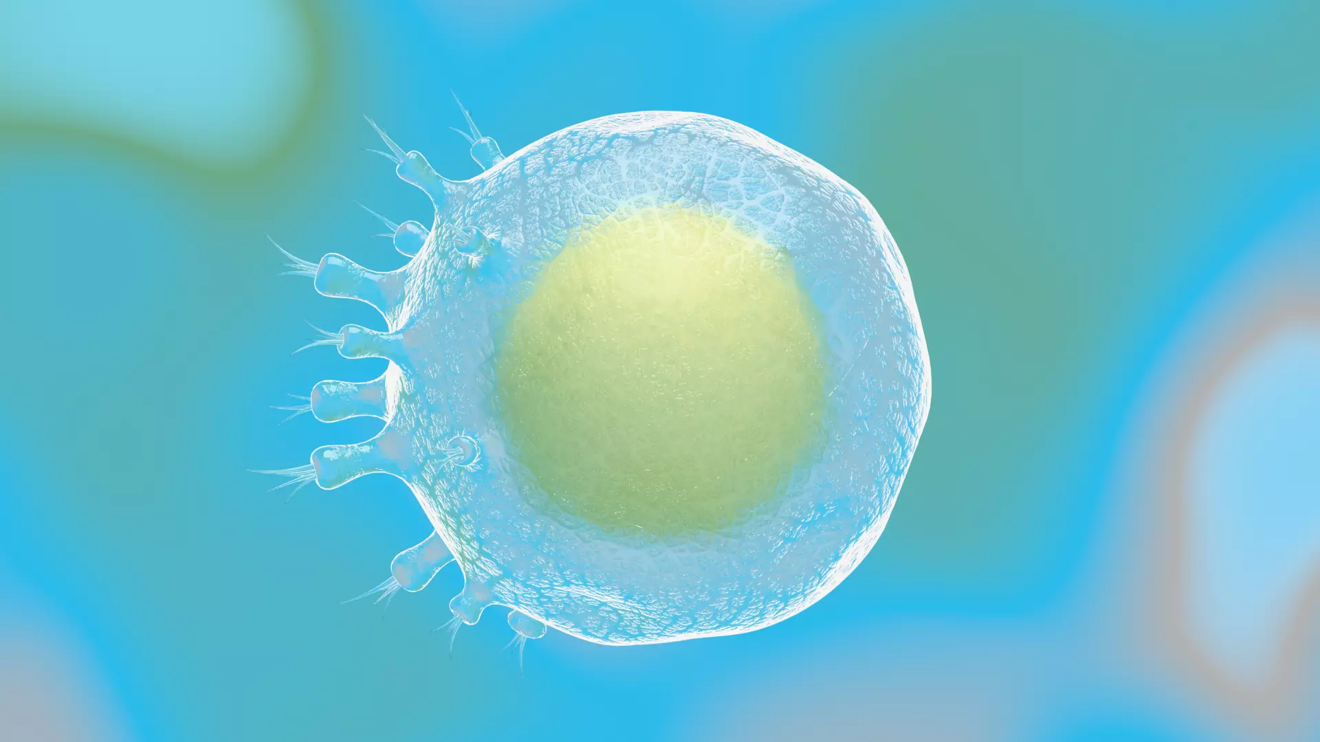 Animated microbes 6-10 Low-poly 3D model_3