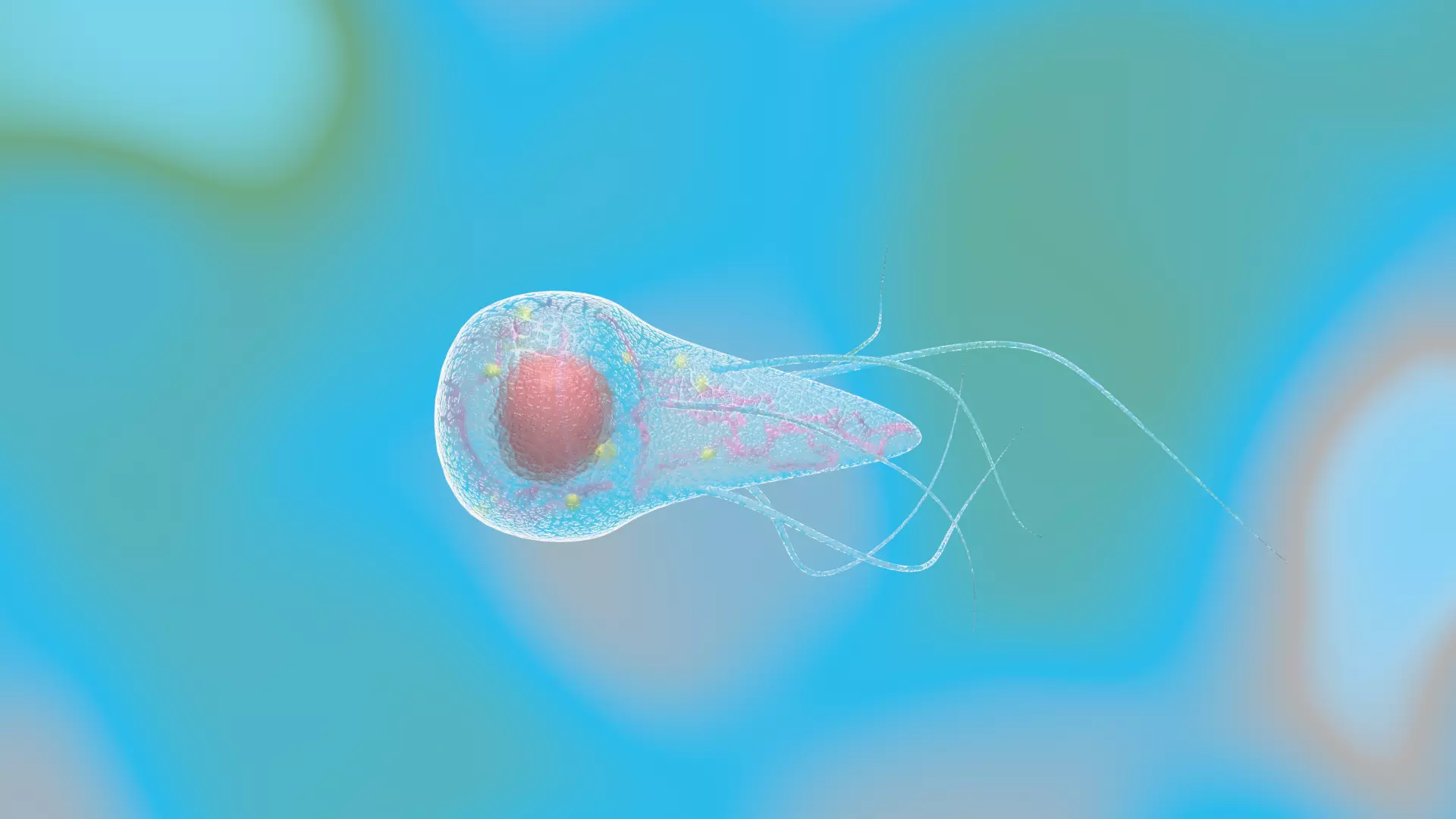 Animated microbes 6-10 Low-poly 3D model_2