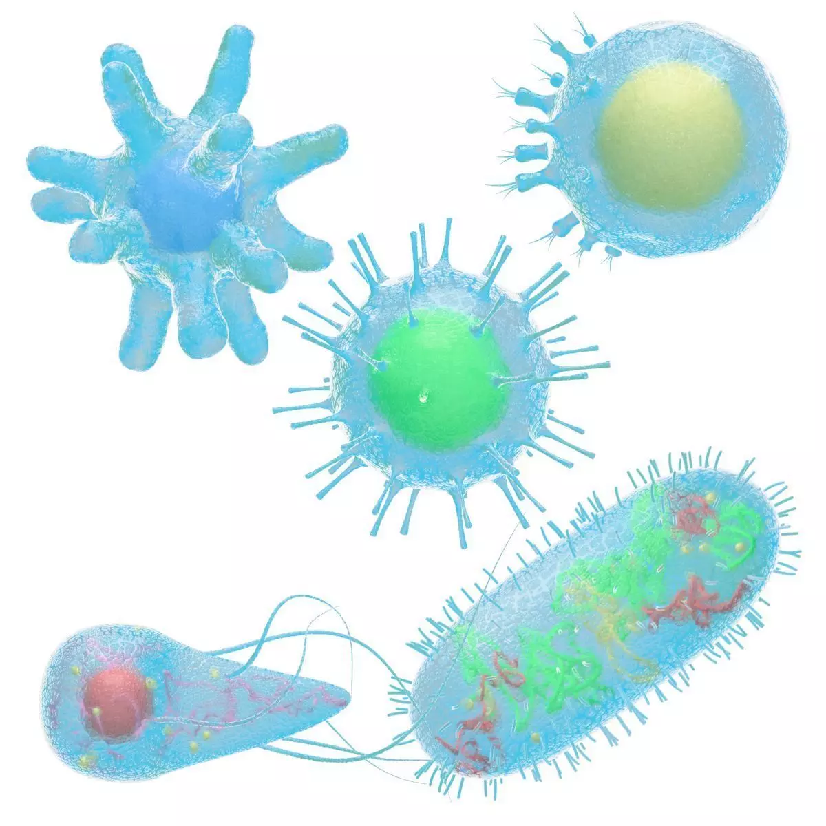 Animated microbes 6-10 Low-poly 3D model_0