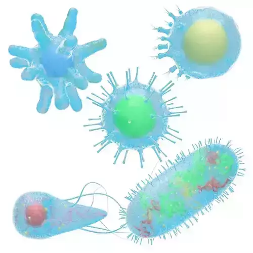 Animated microbes 6-10 Low-poly 3D model Animated microbes 6-10 Low-poly 3D model