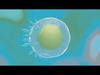 Animated microbes 6-10 Low-poly 3D model_1