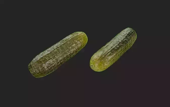 Pickle  M06 Low-poly 3D model 7