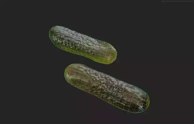 Pickle  M08 Low-poly 3D model 7