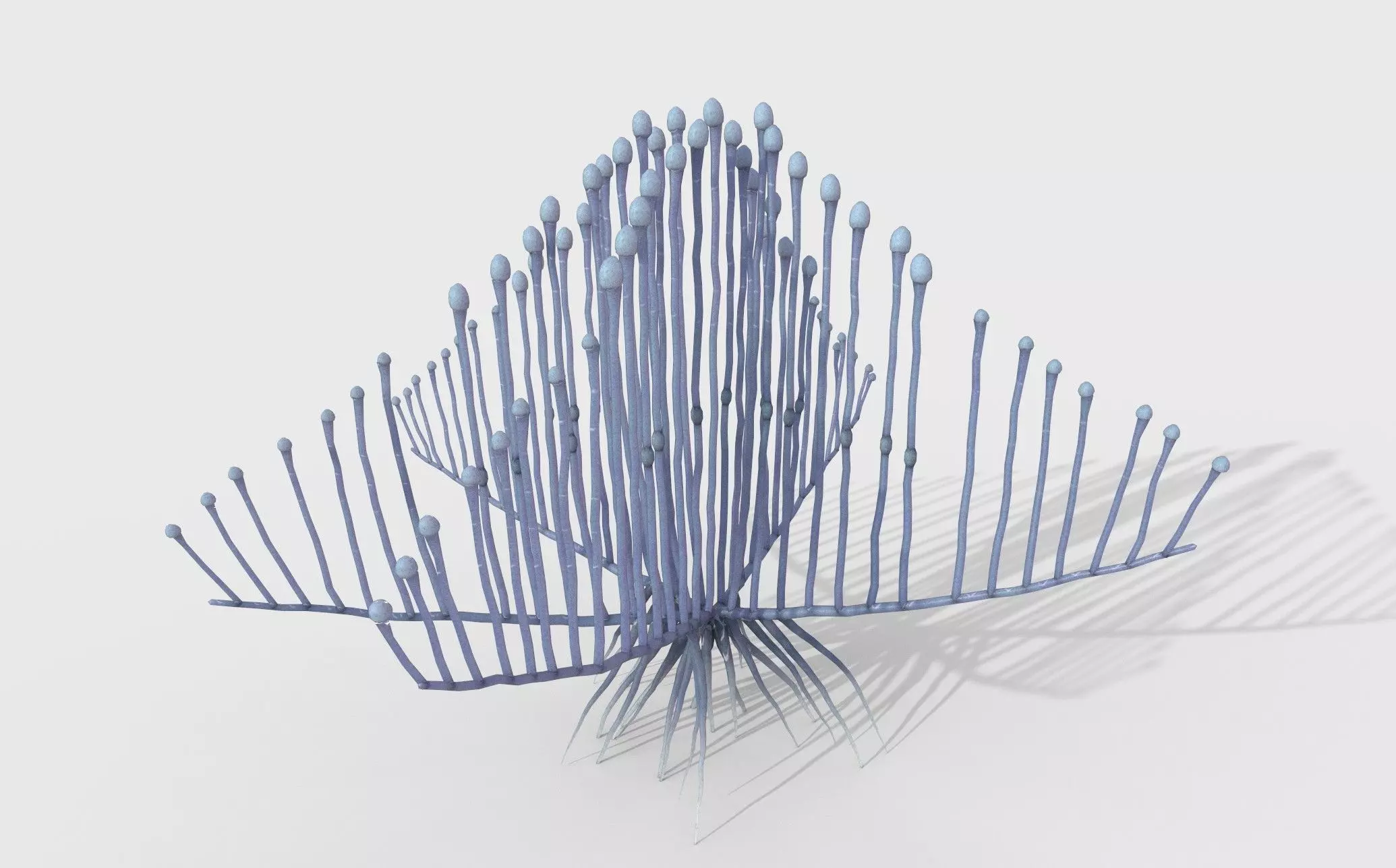 Lyre Sponge 3D model