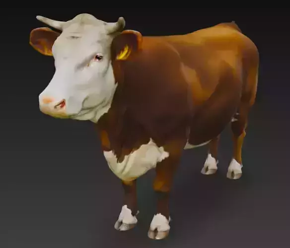 Brown and White Cow Low-poly 3D model