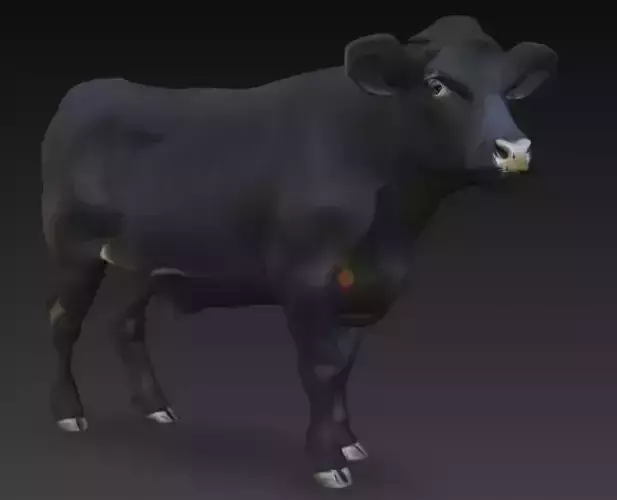 Angus Cow 3d Model Low-poly 3D model