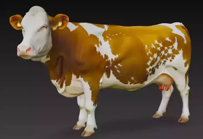 Guernsey Cow 3d Model Low-poly 3D model