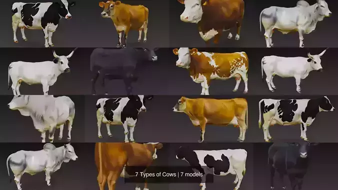 7 Types of Cows 3D Model Collection