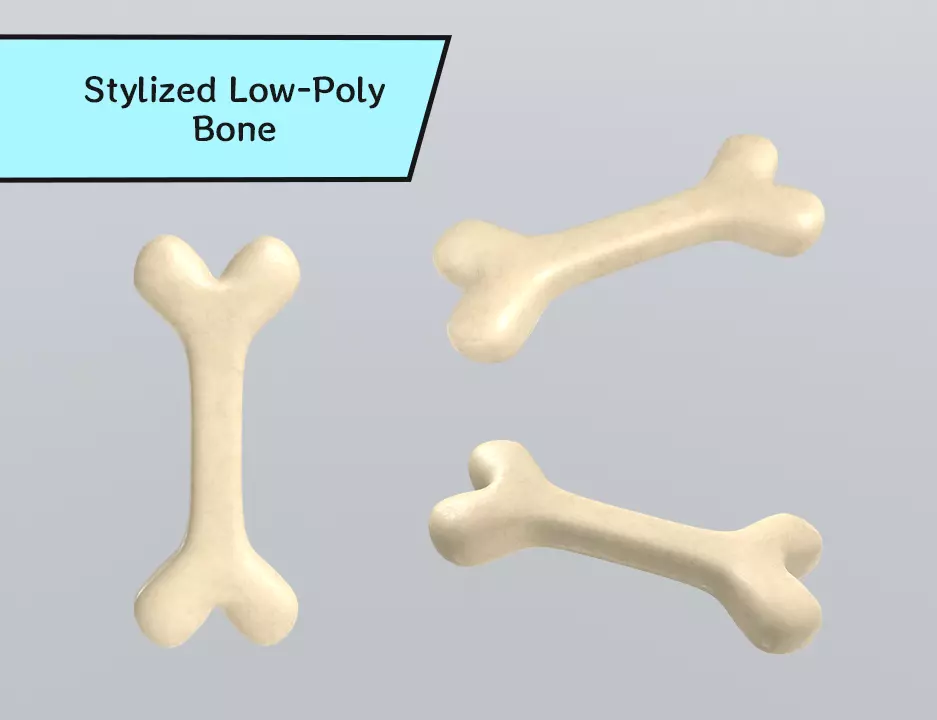 Stylized Low-Poly Bone Low-poly 3D model_0