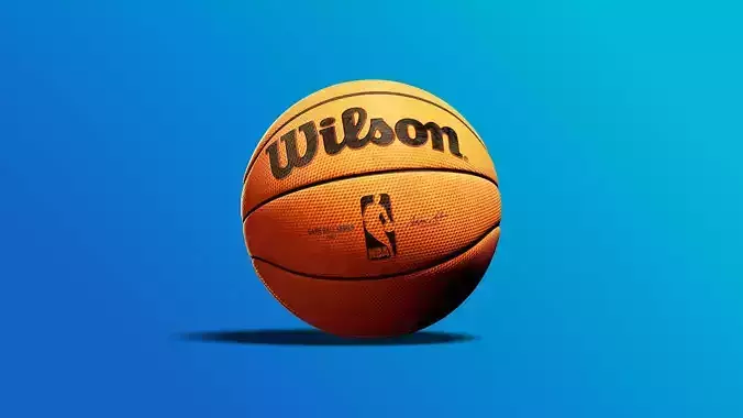 Wilson Basketball 3D Model 