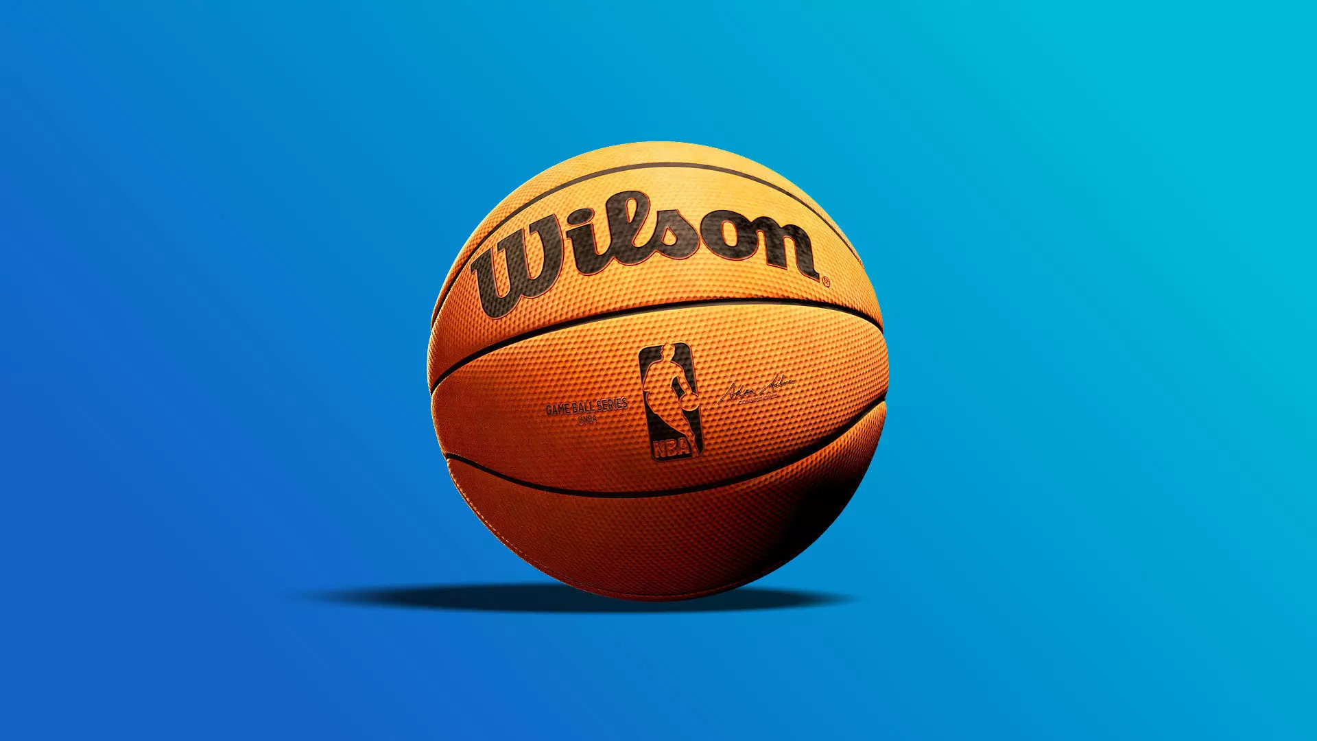 Wilson Basketball 3D Model 3D model_0